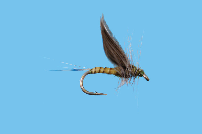 No Hackle Dun Blue Wing Olive - ( SOLITUDE FLY)