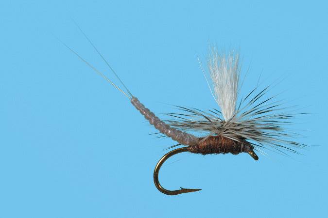 Parachute Extended Body Callibaetis - The Blue Quill Angler