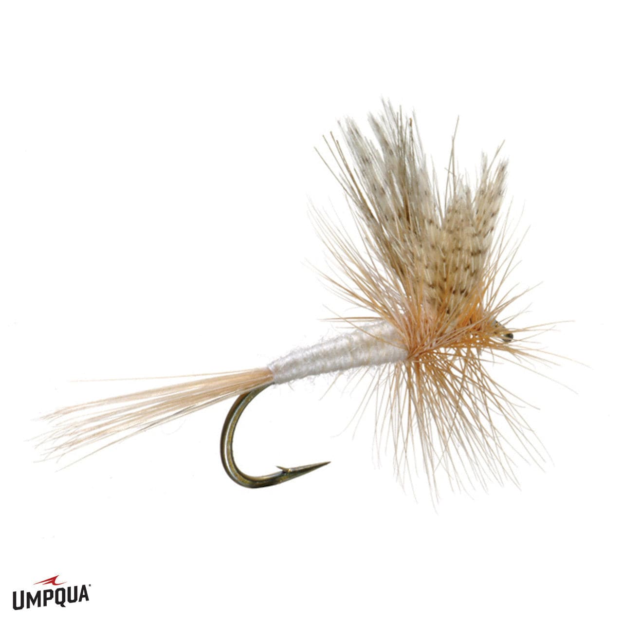 Parachute Light Cahill 12 - The Blue Quill Angler