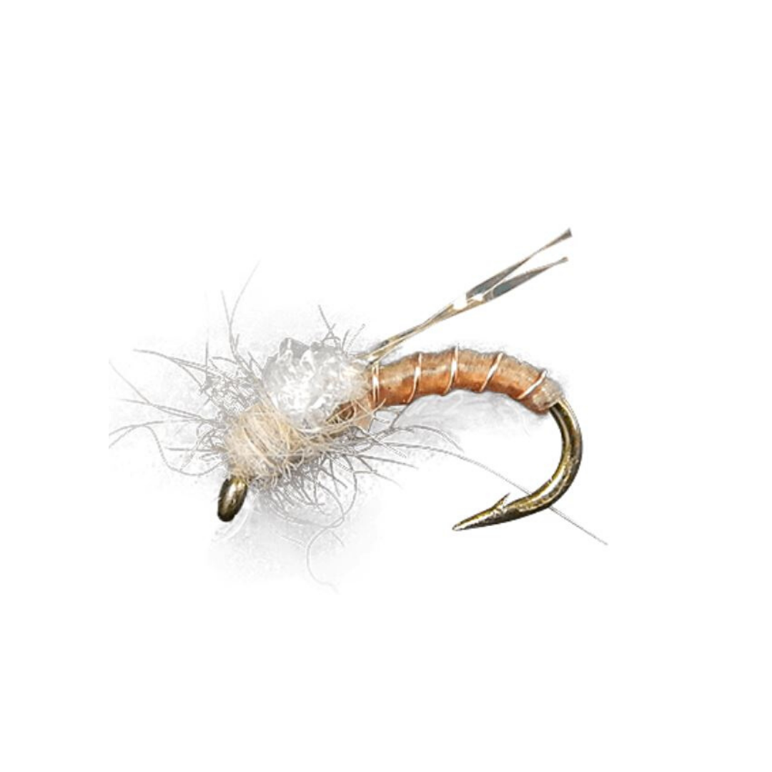 Shafer's Punch It Caddis - ( HOLLY FLIES)