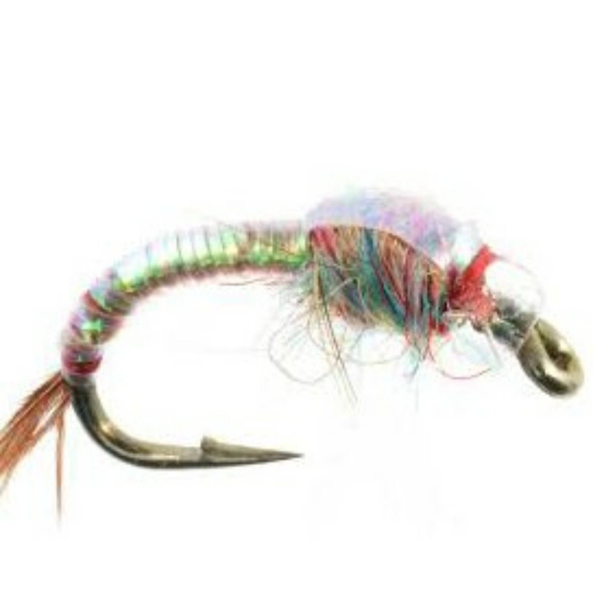 Rainbow Warrior - The Blue Quill Angler