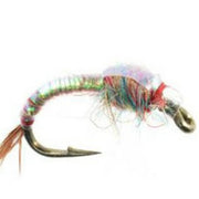 Rainbow Warrior - The Blue Quill Angler