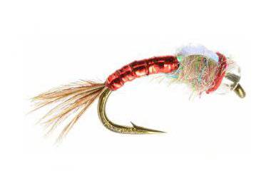 Rainbow Warrior - The Blue Quill Angler