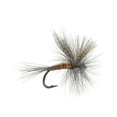 Red Quill - The Blue Quill Angler