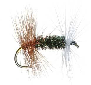 Renegade - The Blue Quill Angler