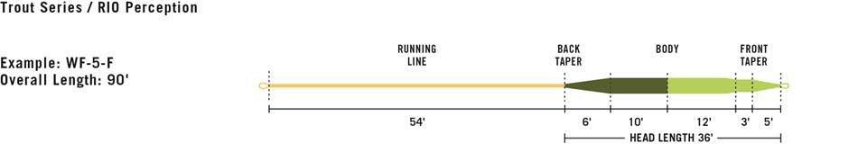 Rio Perception Fly Line - The Blue Quill Angler