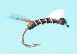 Rs-2 Copper Rib Emerger - ( SOLITUDE FLY)