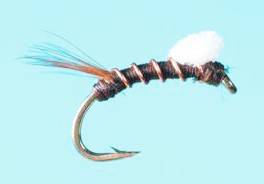RS2 Copper Rib Foam Emerger - Solitude Fly - The Blue Quill Angler