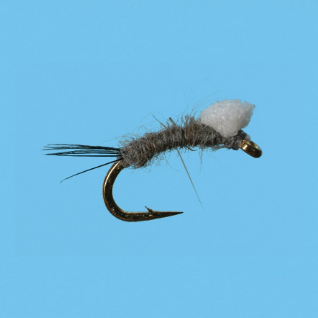 Rsii Foam Wing Emerger - ( SOLITUDE FLY)