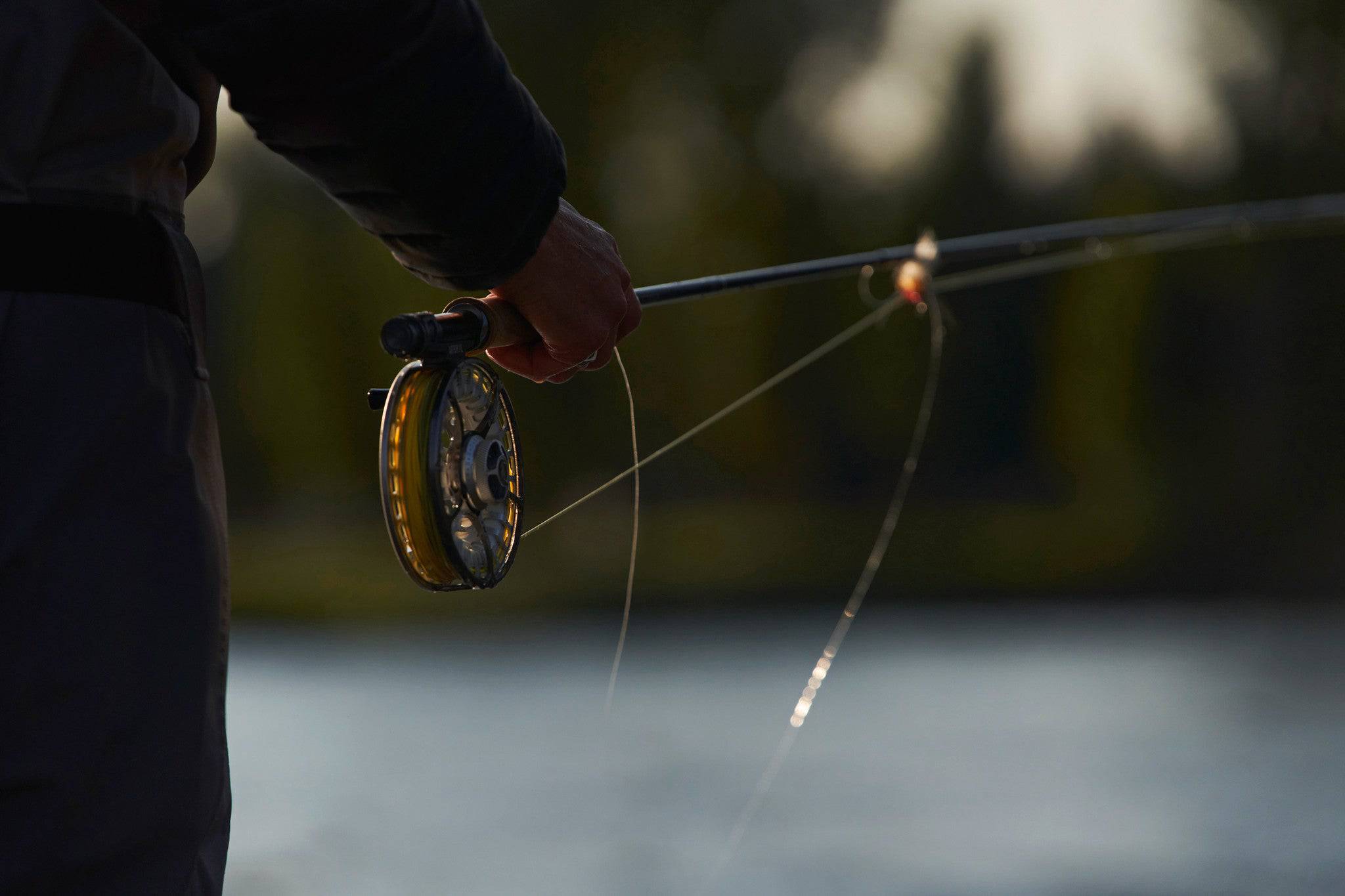 Sage Arbor Xl Reel - The Blue Quill Angler