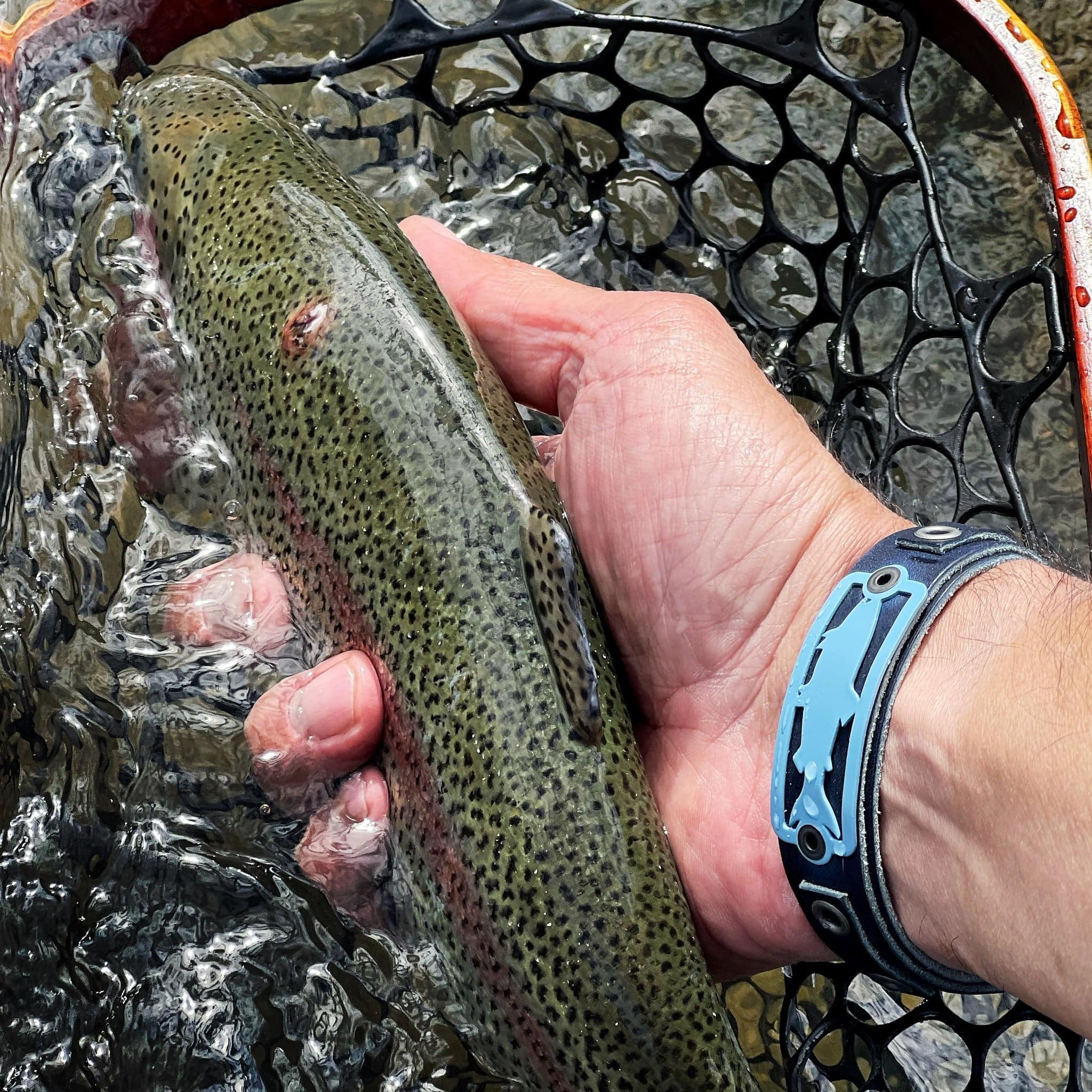 Sightline Provisions Bracelet - Steely Gray Trout 2.0 - The Blue Quill Angler