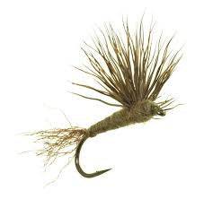 Sparkle Dun Blue Wing Olive - The Blue Quill Angler