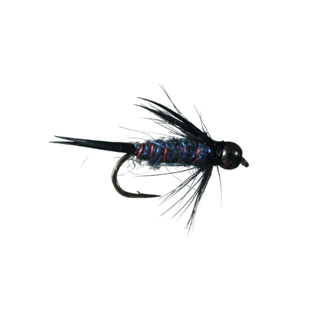 Sparkle Prince - The Blue Quill Angler