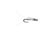 Sparkle Wing Rsii - The Blue Quill Angler
