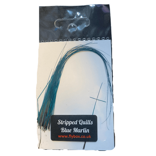 Stripped Peacock Quills - The Blue Quill Angler