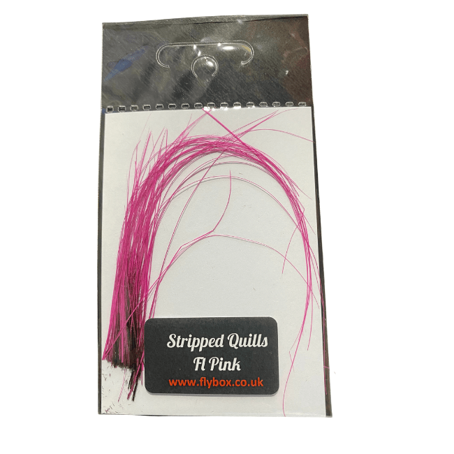 Stripped Peacock Quills - The Blue Quill Angler