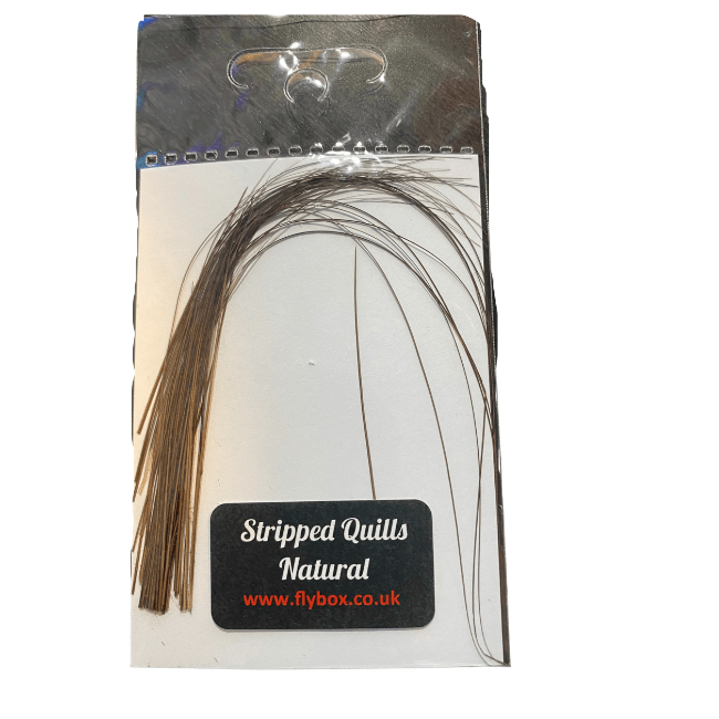 Stripped Peacock Quills - The Blue Quill Angler
