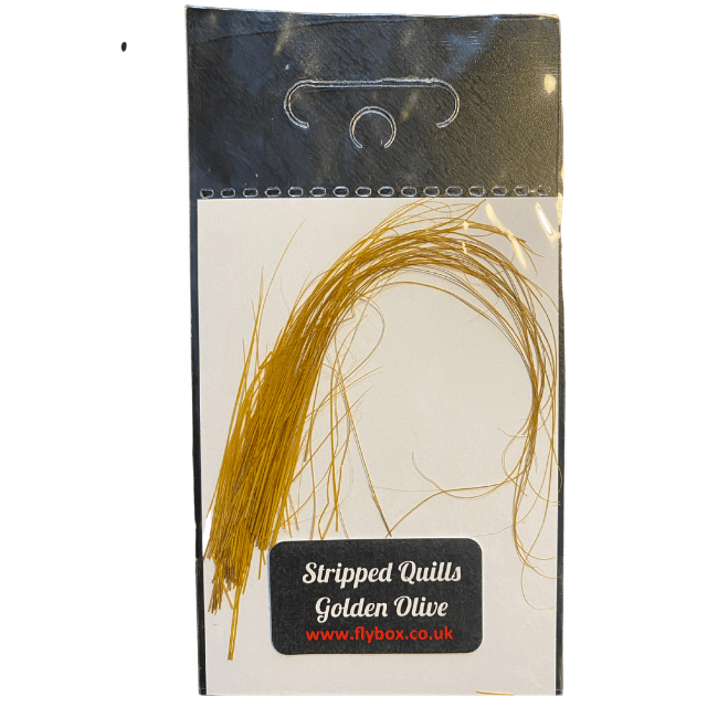 Stripped Peacock Quills - The Blue Quill Angler