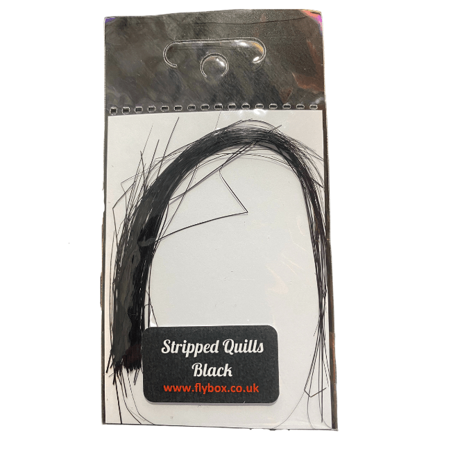Stripped Peacock Quills - The Blue Quill Angler