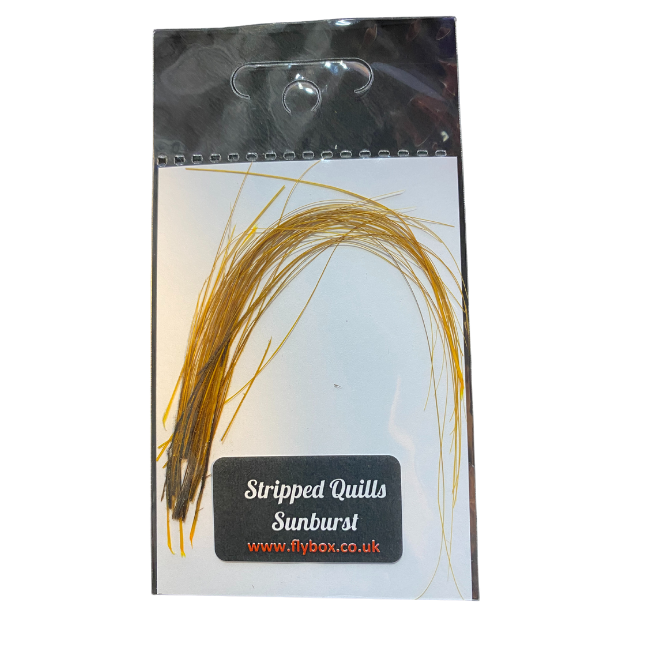 Stripped Peacock Quills - ( FLYBOX UK)