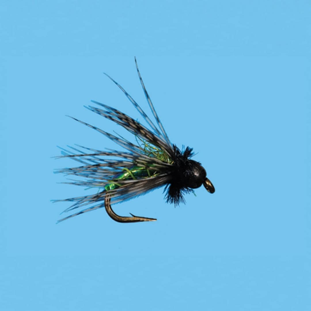 Tungsten G6 Caddis - The Blue Quill Angler