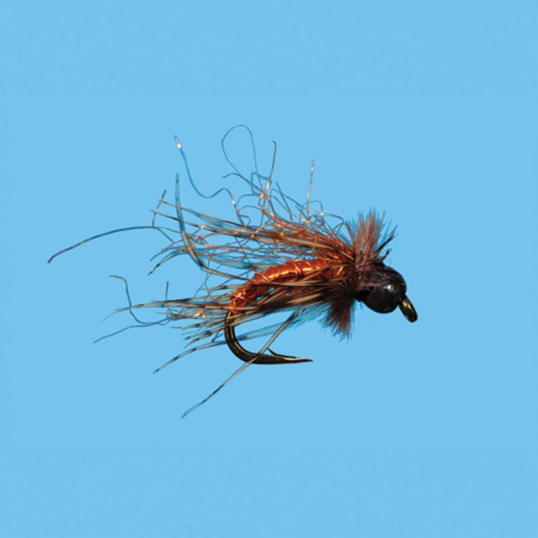 Tungsten G6 Caddis - The Blue Quill Angler