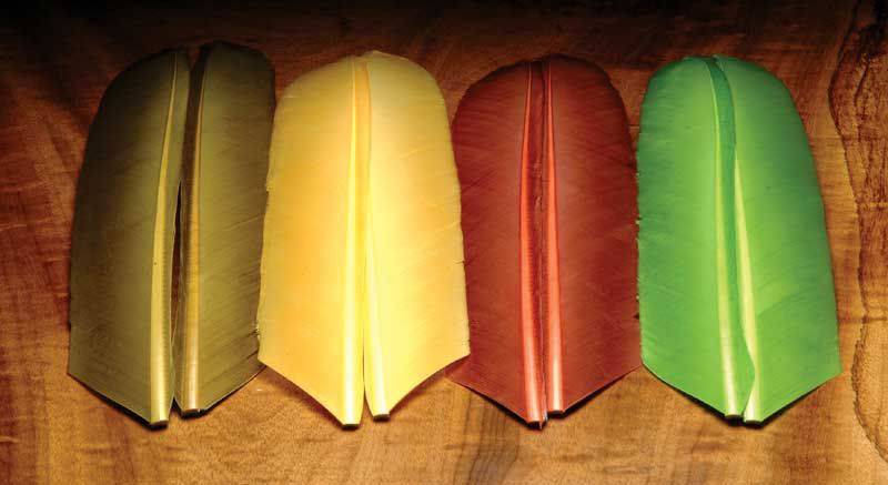 Turkey Biot Quills - The Blue Quill Angler