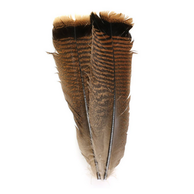 Wild Turkey Secondary Wing Feathers, No Quill - Fly Tying - Crafts