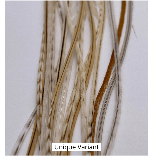 Whiting 100 Pack - 16 - The Blue Quill Angler