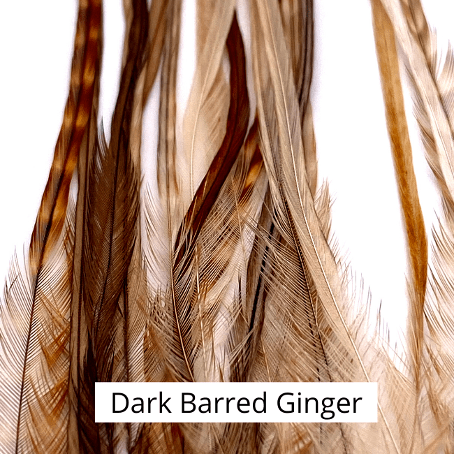 Whiting 100 Pack - 18 - The Blue Quill Angler