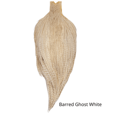 Whiting Rooster Cape - Bronze Grade - The Blue Quill Angler