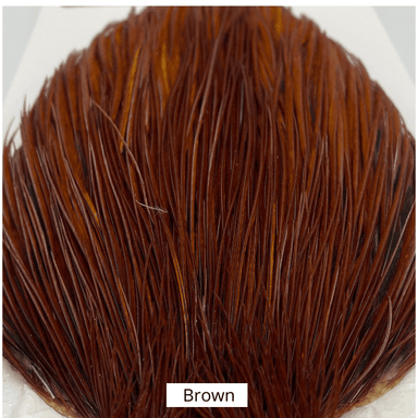 Whiting Rooster Cape - Bronze Grade - The Blue Quill Angler